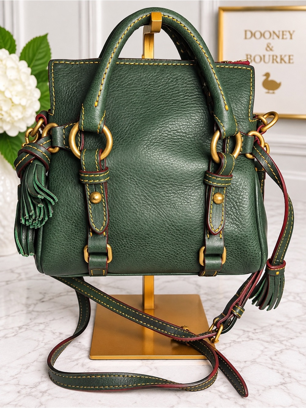 Dooney & Bourke Forest Green Leather Mini micro Florentine Satchel with Red Trim - Picture 2 of 10